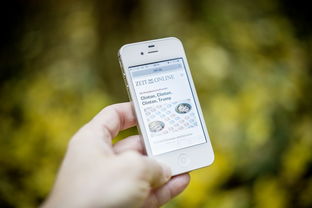 开云在线直播-智能训练辅助系统开发与应用，智能训练处理