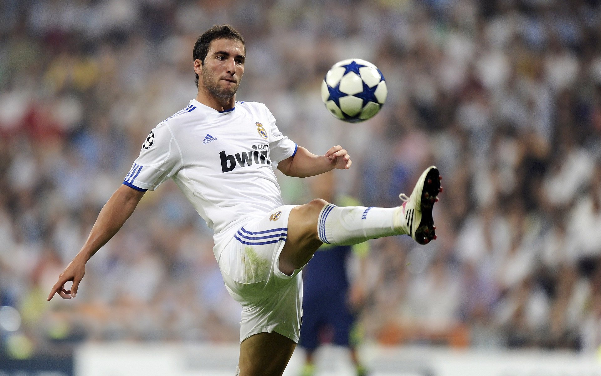 开云体育入口-19岁荷兰新带刀后卫荷甲横空出世5大欧洲豪门疯抢，荷兰足球后卫